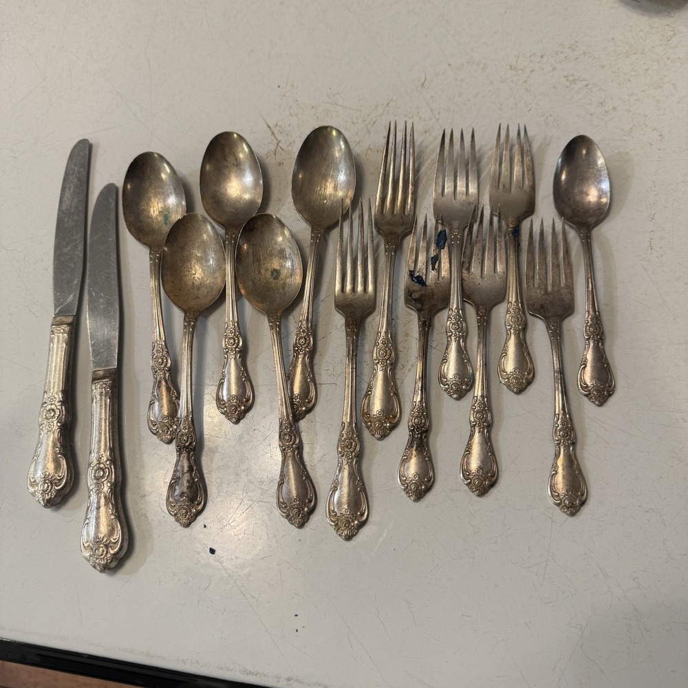 15‎ Pieces W.M.A. Rogers Sectional Oneida Ltd. Rogers VANESSA FRANCESCA